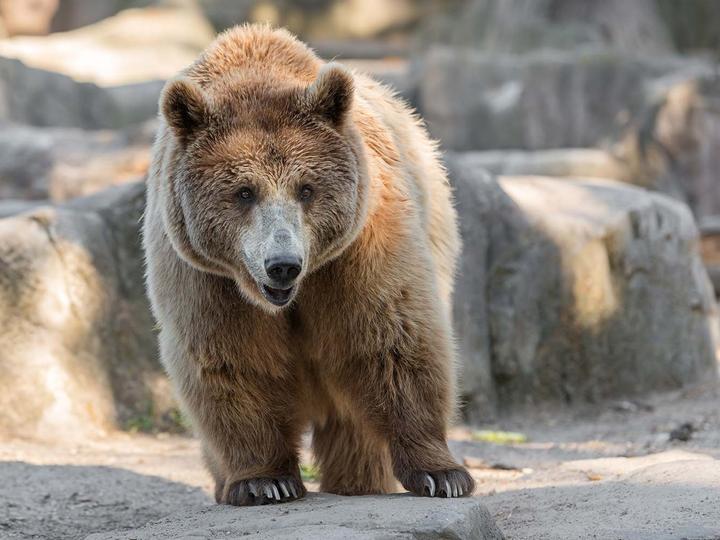 Best Western Plus ClockTower Inn | Billings | 6