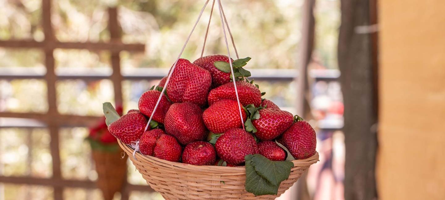 Best Western Plus ClockTower Inn | Billings | 2